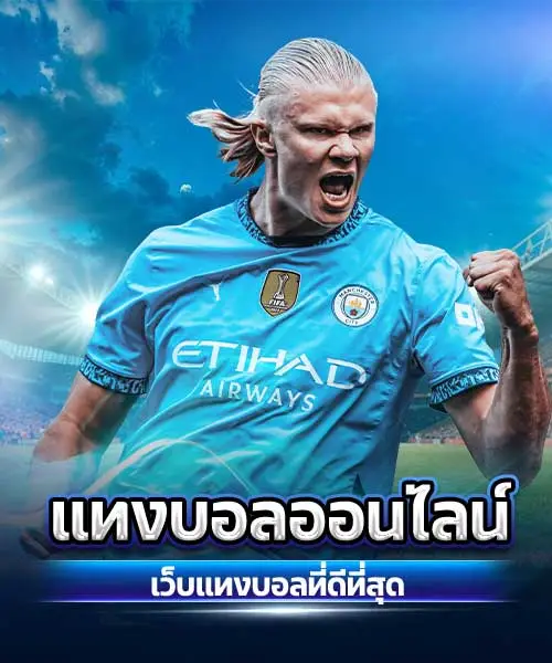 แทงบอลออนไลน์2