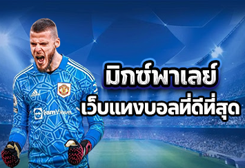 มิกซ์พาเลย์